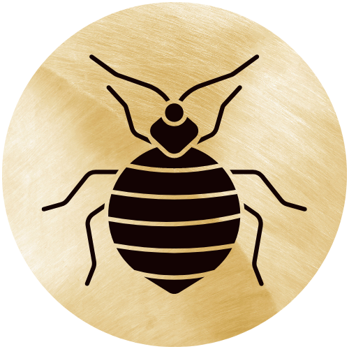 ágyi poloska irtás